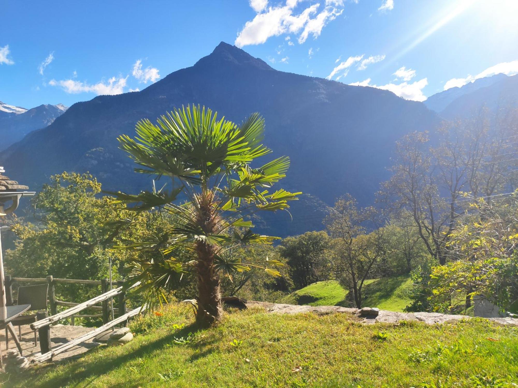 Oasis Di Riposa Villa Semione Eksteriør billede